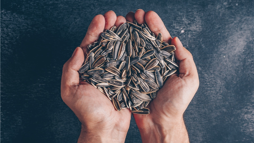 Are Sunflower Seeds Keto? 5 Ways to Add Them to Your Diet